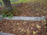 image of grave number 199240